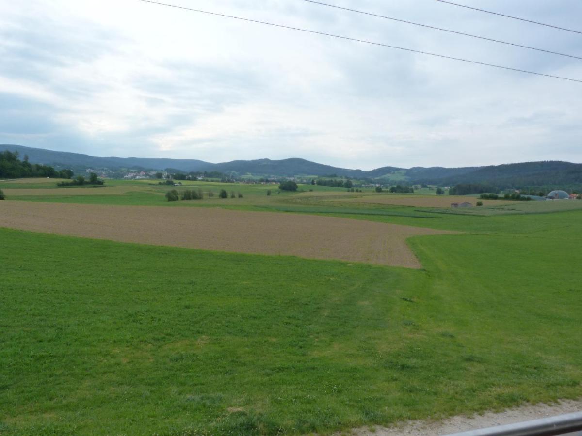 Ferienwohnung Spachtholz วัลด์มึนเคน ภายนอก รูปภาพ